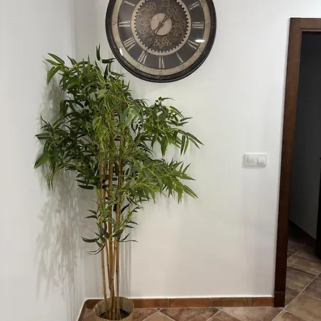 Apartamento Jiguera *