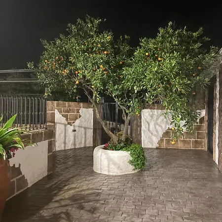 Apartamento Jiguera *